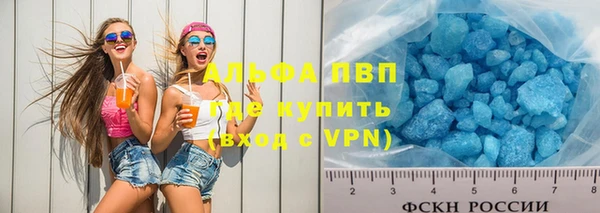 гидра Алексеевка