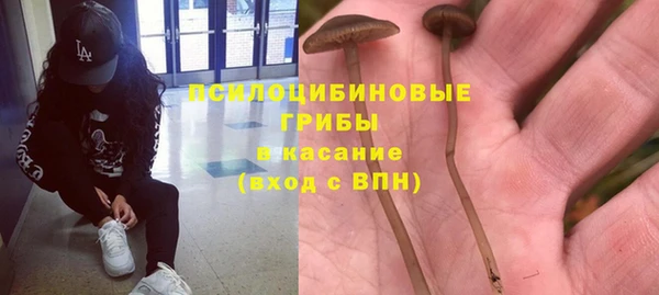 гидра Алексеевка