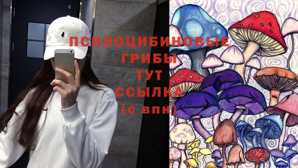 амф Алзамай